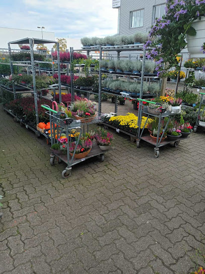 Blumen & Gartencenter Chro