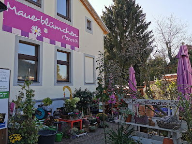 Mauerblümchen Floristik Kladow