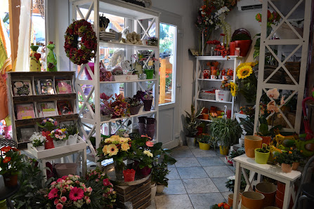 Mauerblümchen Floristik Kladow