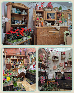 Sabines Blumenstübchen Florist | Blumenladen | Friedhofsgärtner