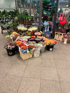 Blumenreich