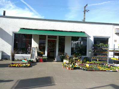 Blumen Kiemstedt