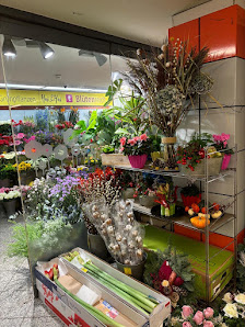 Hai&Hai Blumenladen