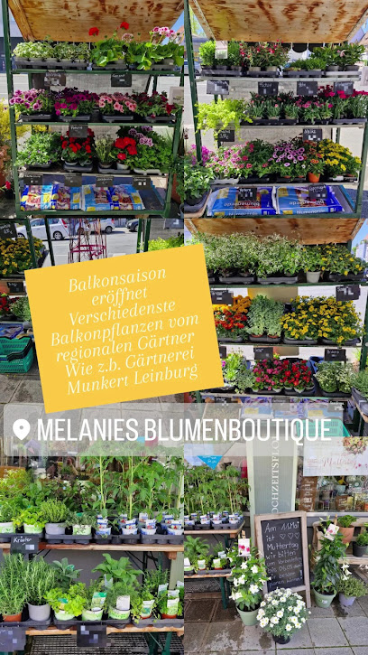 Melanie’s Blumen Boutique