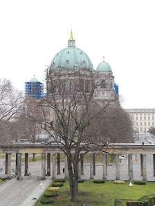 ImBaum - Baumpflege Berlin Friedrichshain