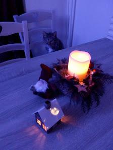 Blumen & Ambiente