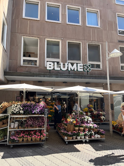 BLUME2000 Nürnberg