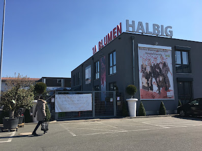 1A Blumen Halbig