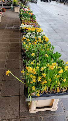 Blumen Bock