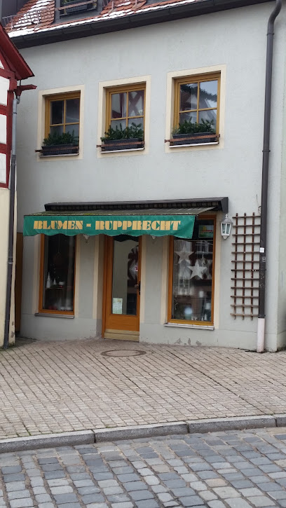 Lauf an der Pegnitz