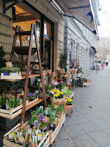Kiez Blüte