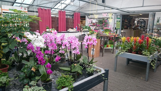 Blumen Werner