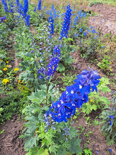 GartEll, Georg Ell Gartenbau