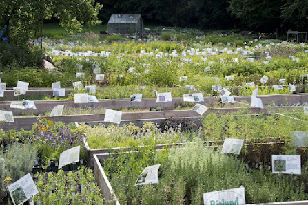 Gärtnerei Gartenreich Oberrieden