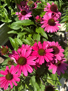Garten Bräunlein GmbH & Co.KG