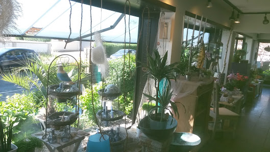 Blumenhaus Harich