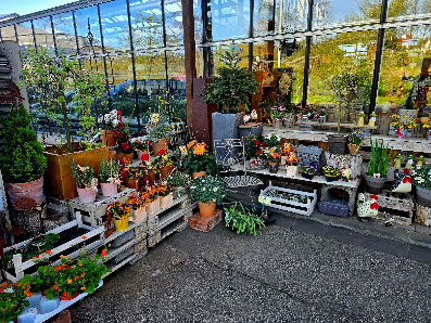 Blumen Wendler