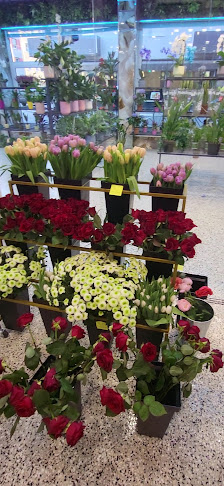 DILO Blumen