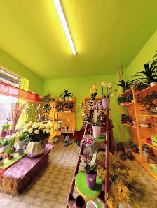 Blumen Engelhardt