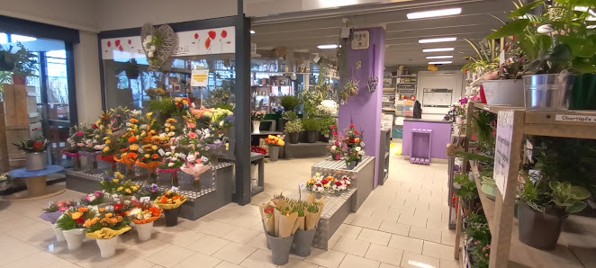 Blüten Mit Stil Wesselman Rosi