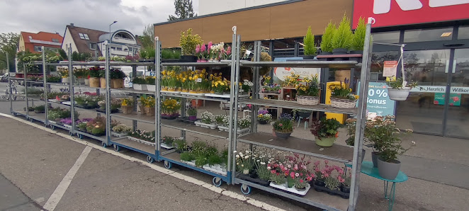 Blüten Mit Stil Wesselman Rosi