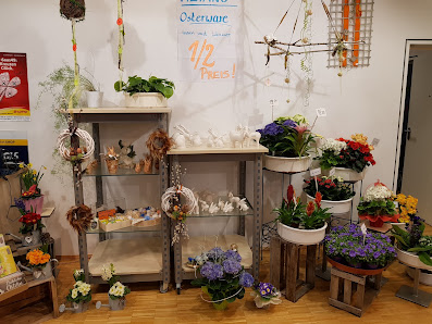Flower Power, Maier-Haag Petra