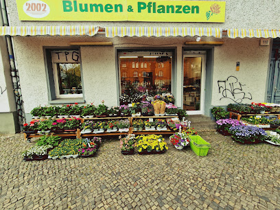 Blumen &pflanzen