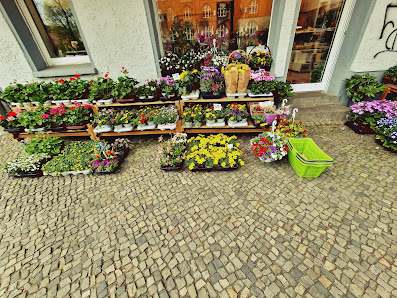 Blumen &pflanzen