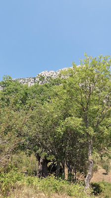 Galabau Fürth