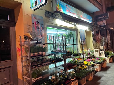 Blumen & Headshop - Flower shop