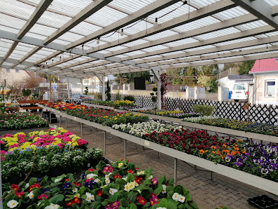Blumenmarkt Daucher