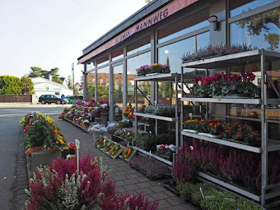 Blumen-Hannweg :: Ihr Blumenladen