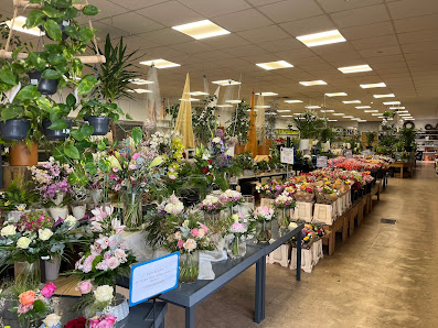 Blumen- und Gartencenter Koch, Dortmund-Scharnhorst