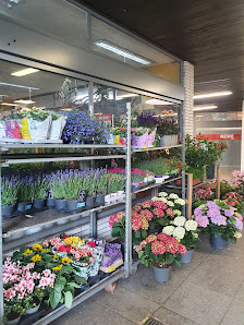 Blumenstudio am Hansaplatz
