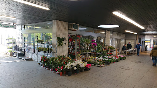 Blumenstudio am Hansaplatz