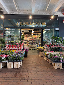 Blumen NgocLan