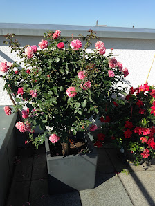 Blumen Hertneck Inh. Kerstin Riethmüller