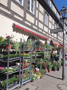 Blumenland