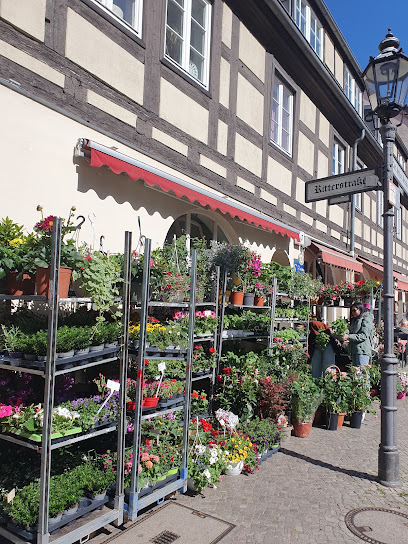 Blumenland
