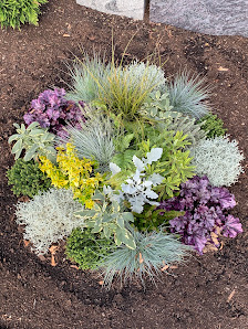 Blumen Merk-Weis