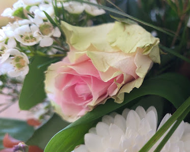 BlumenGarten Marquardt