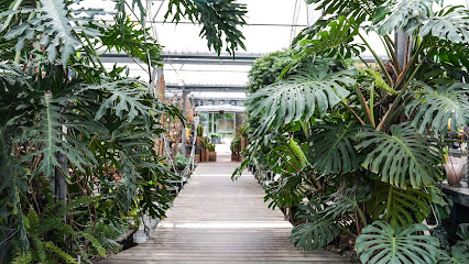 Kriesten Garten GmbH - Gartenbau und Gartencenter