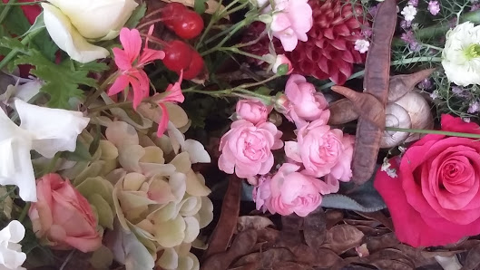 In Voller Blüte
