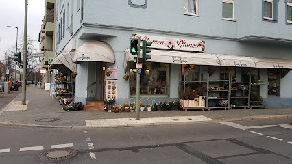 Blumen und Pflanzen