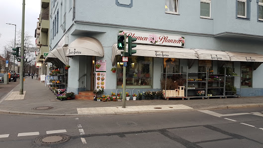 Blumen und Pflanzen