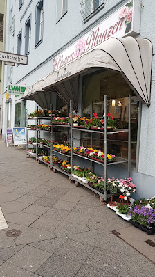 Blumen und Pflanzen