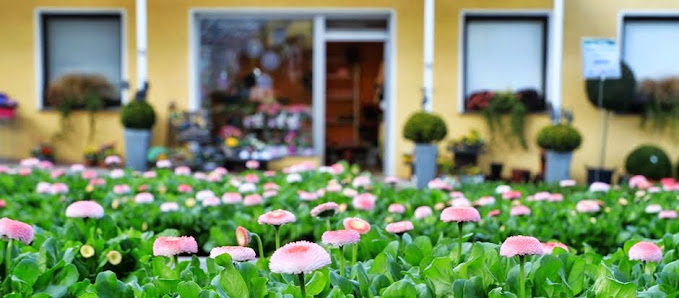 Blumen Dresing
