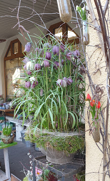 Blüte und mehr Monika Appinger