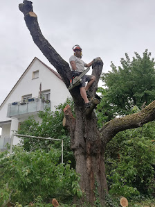 Boss: Garten- und Landschaftsbau