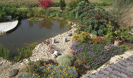 Kapfenstein GmbH Garten- und Landschaftsbau